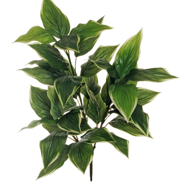 Pianta artificiale di hosta con 3 rami e 40 foglie verdi e crema h. 86,5 cm