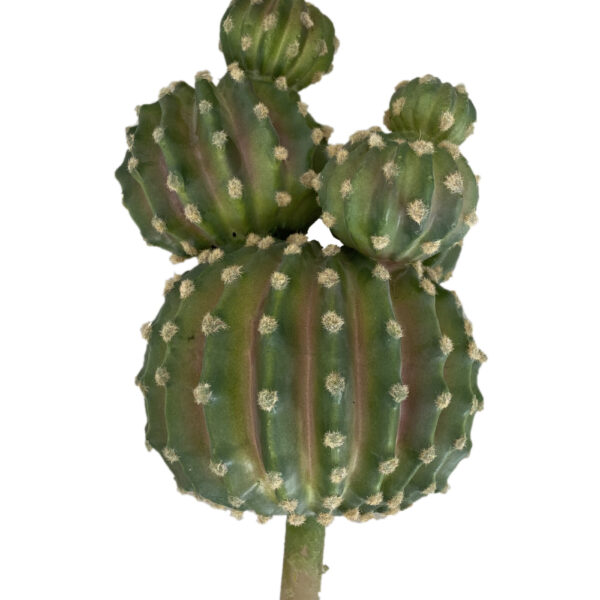 Cactus artificiale bombato a ramo 35,5 x 19 cm