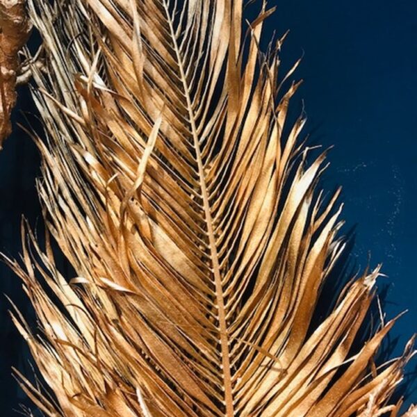 Foglia di Palma Phoenix artificiale oro h. 170 cm