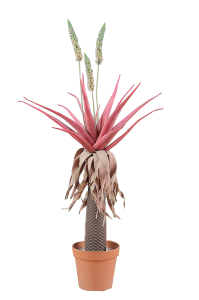 Pianta artificiale di Aloe con fiori rosa con vaso in plastica rigida 40x40x169 cm