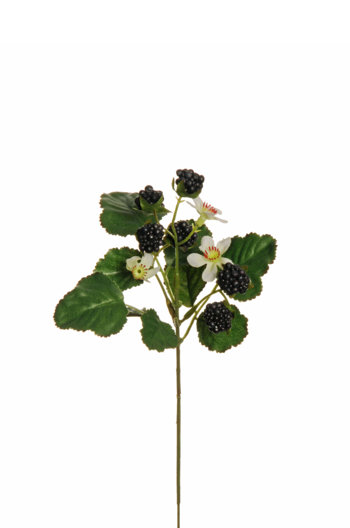 Ramo artificiale con lamponi neri e fiori bianchi 25 cm