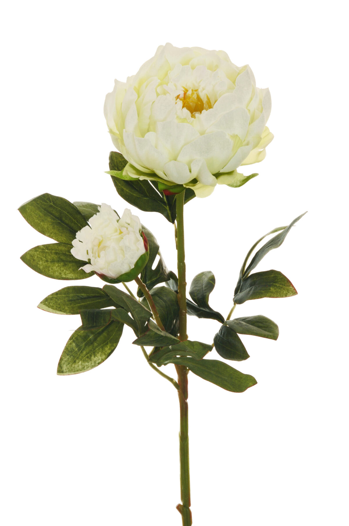 Ramo Peonia artificiale con 1 fiore e 1 bocciolo colore bianco 66 cm