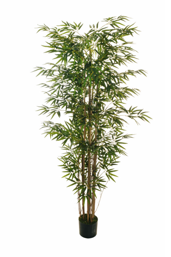 Pianta di Bamboo artificiale h. 180 cm. con 2175 foglie e 10 tronchi naturali