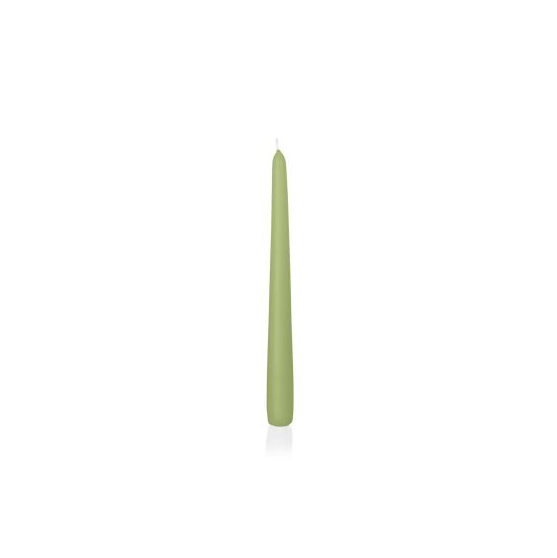 Set 12 Candele coniche Verde Aloe (ottima cera Tedesca – durata 8 ore) d. 2,5 x h. 25 cm