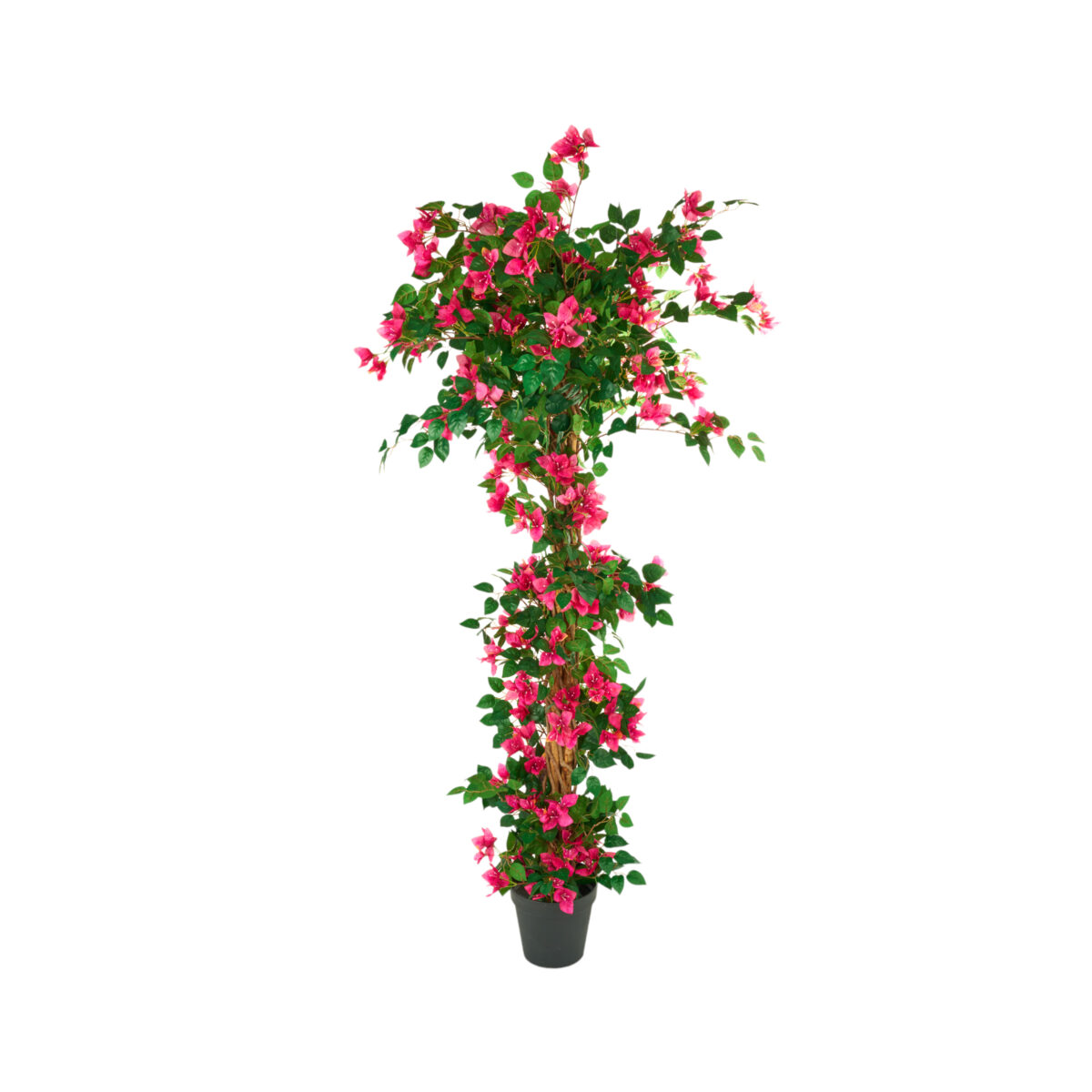 Pianta Bouganvillea artificiale con fiori fuxia h. 180 cm